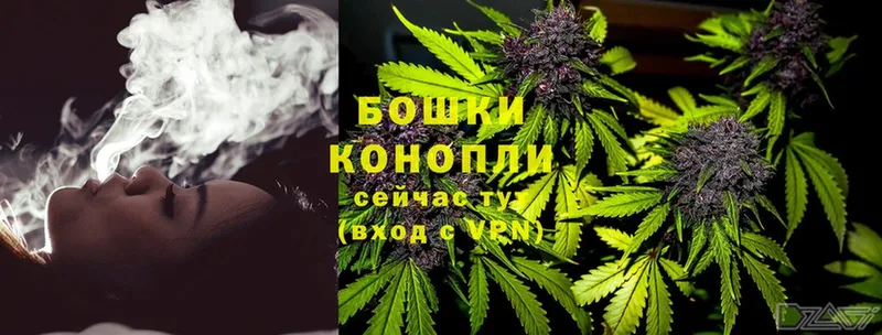 Бошки Шишки THC 21%  продажа наркотиков  нарко площадка официальный сайт  Комсомольск 